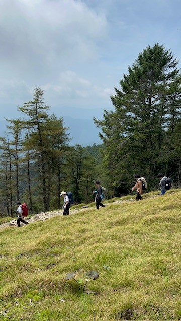 ２日目　下山　ブナ坂付近